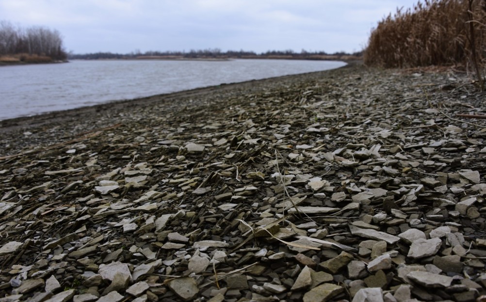 Нижнепалеолитические местонахождения Хрящи и Михайловское, расположенные в устье Северского Донца 