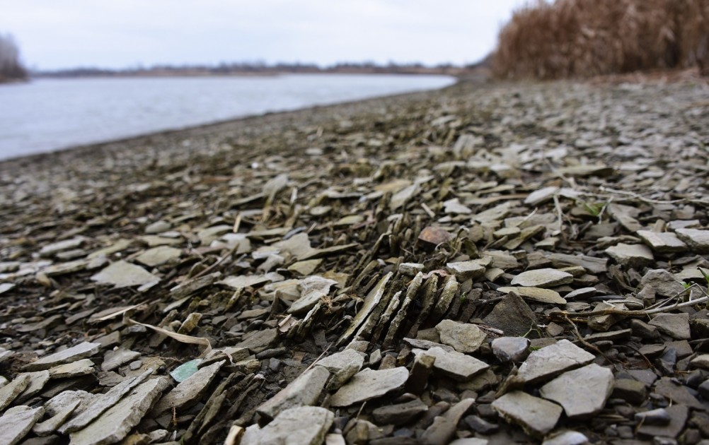 Нижнепалеолитические местонахождения Хрящи и Михайловское, расположенные в устье Северского Донца 