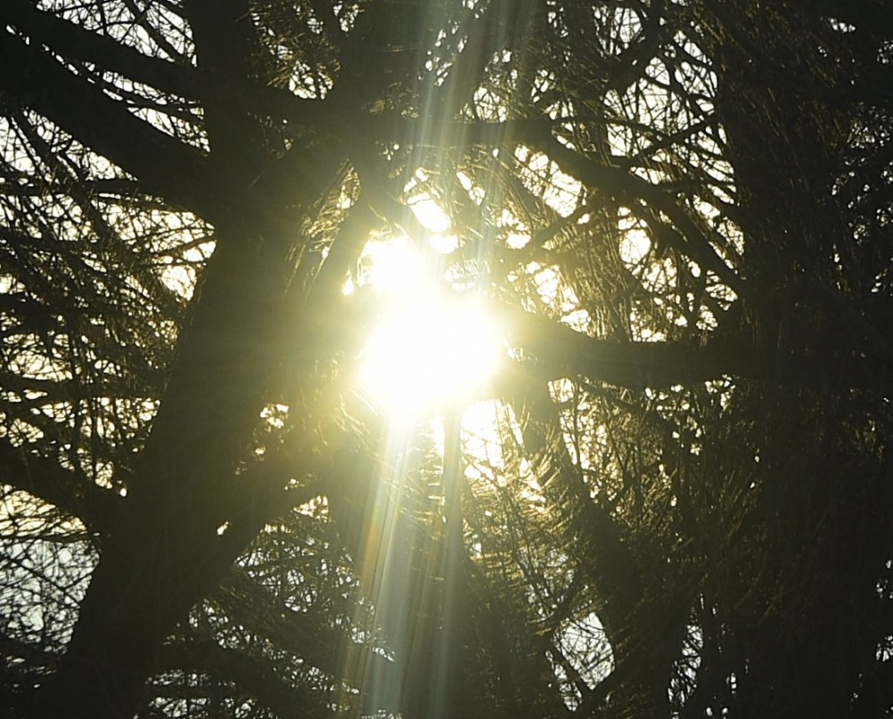 Стрелка Дона и Аксая в самый холодный день в году