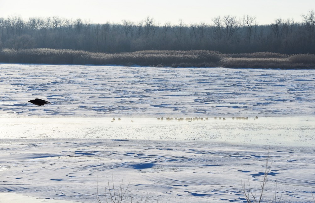 Стрелка Дона и Аксая в самый холодный день в году