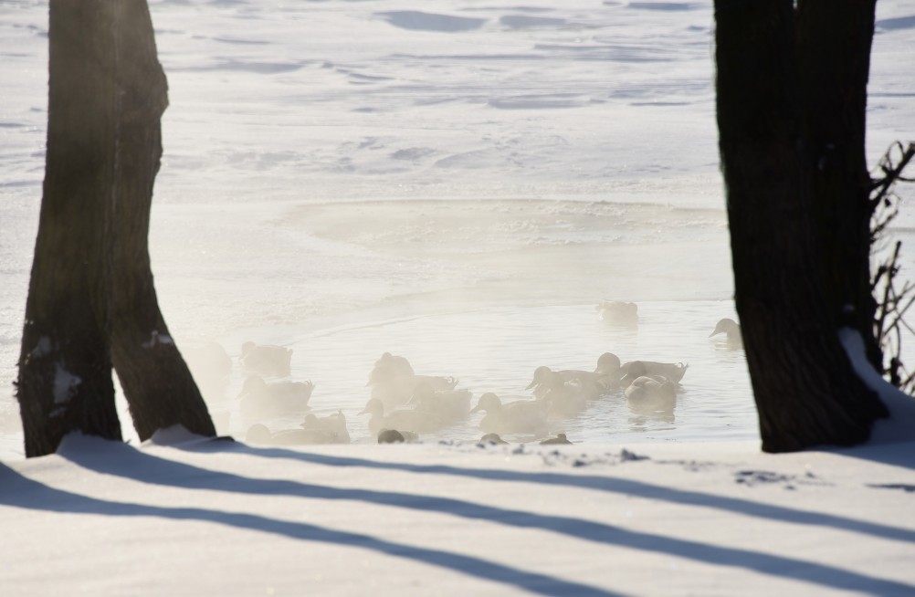 Стрелка Дона и Аксая в самый холодный день в году
