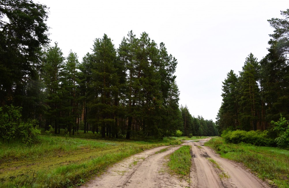 Ещё не весна, но...