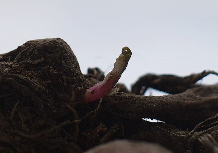 Ещё не весна, но...