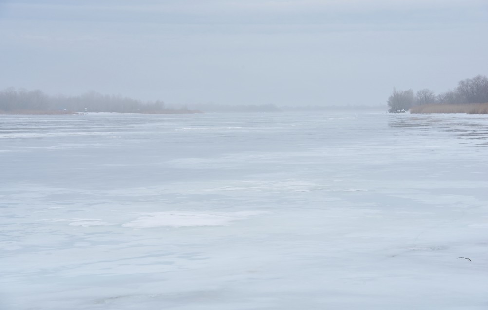 Донская полузима полувесна накануне Сретения.