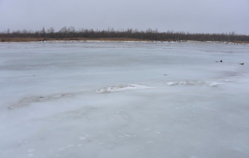 Донская полузима полувесна накануне Сретения.
