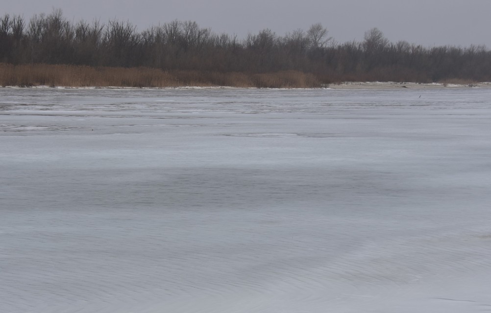 Донская полузима полувесна накануне Сретения.