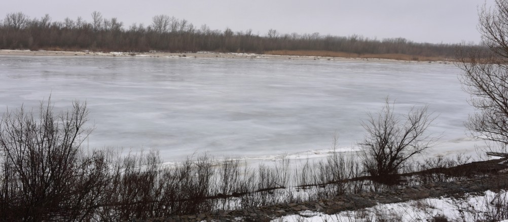 Донская полузима полувесна накануне Сретения.
