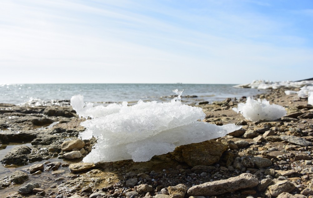 Конец февраля и освобождение Меотиды ото льда на берегу у хутора Рожо