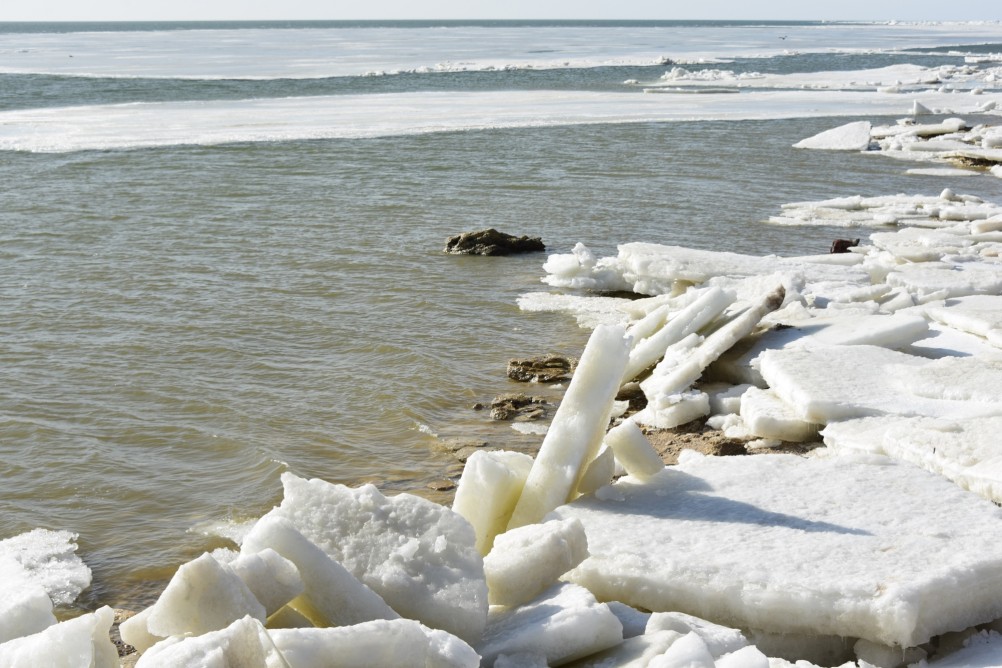 Конец февраля и освобождение Меотиды ото льда на берегу у хутора Рожо
