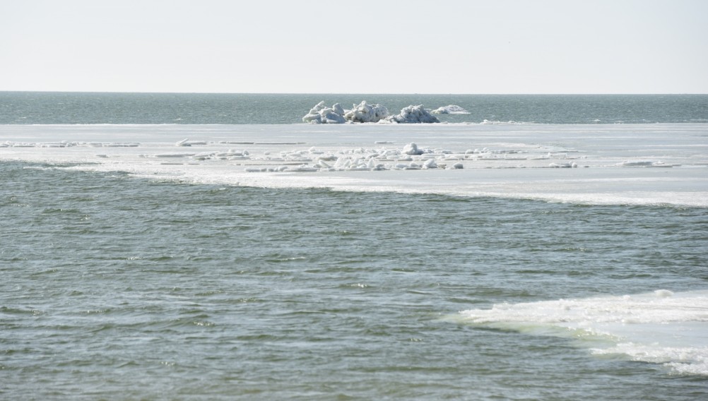 Конец февраля и освобождение Меотиды ото льда на берегу у хутора Рожо