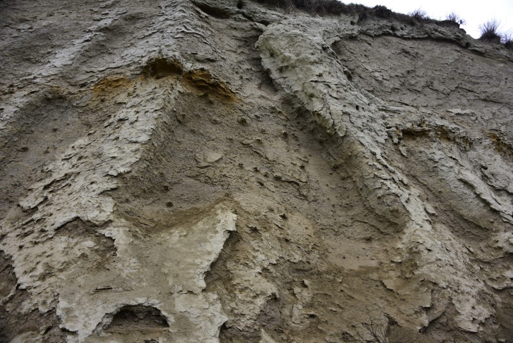 Песчаные розы на обрыве у Миуса