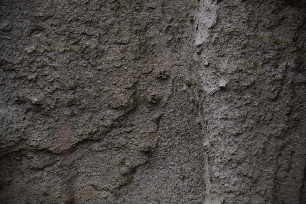 Песчаные розы на обрыве у Миуса