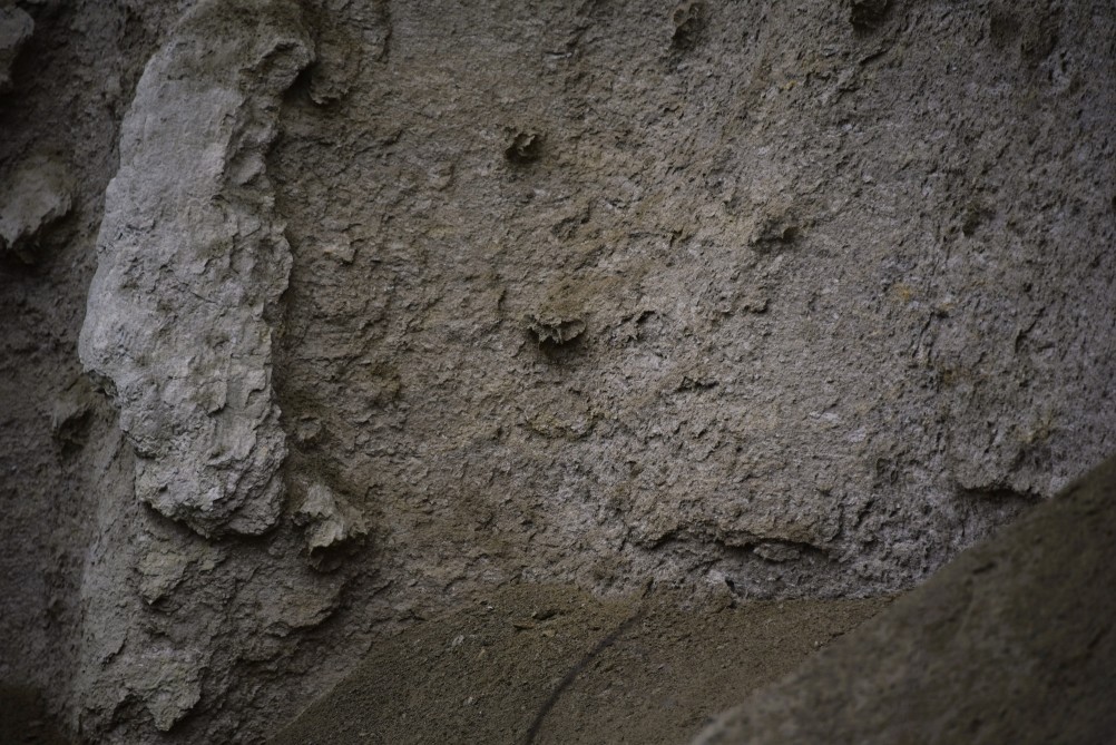 Песчаные розы на обрыве у Миуса