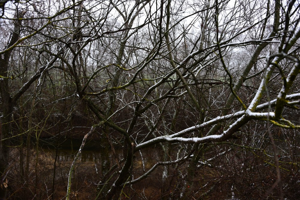 Песчаные розы на обрыве у Миуса