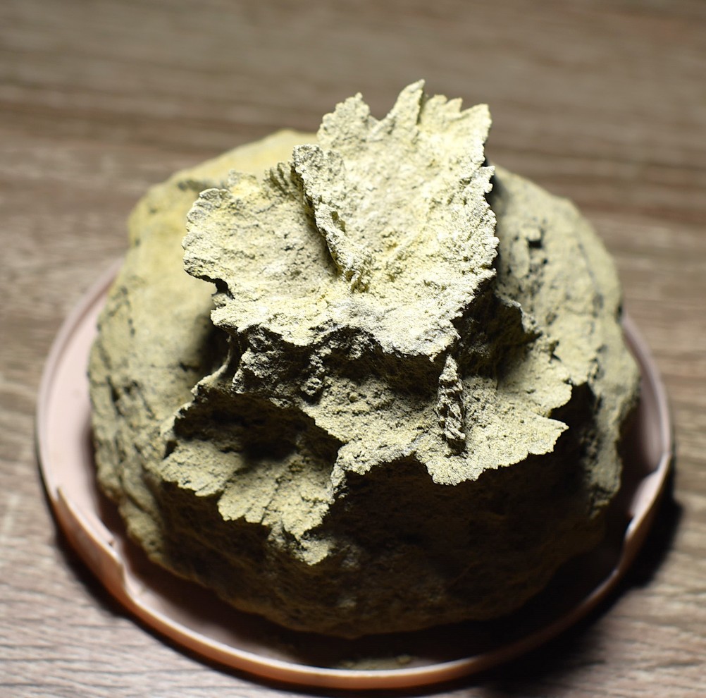 Песчаные розы на обрыве у Миуса