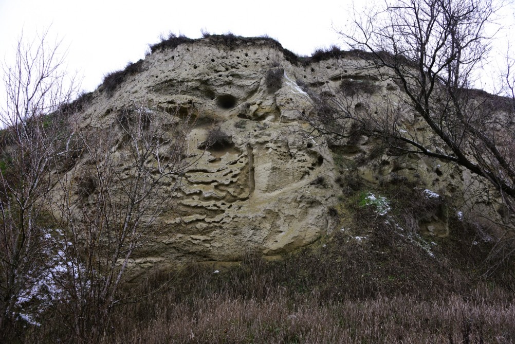 Песчаные розы на обрыве у Миуса