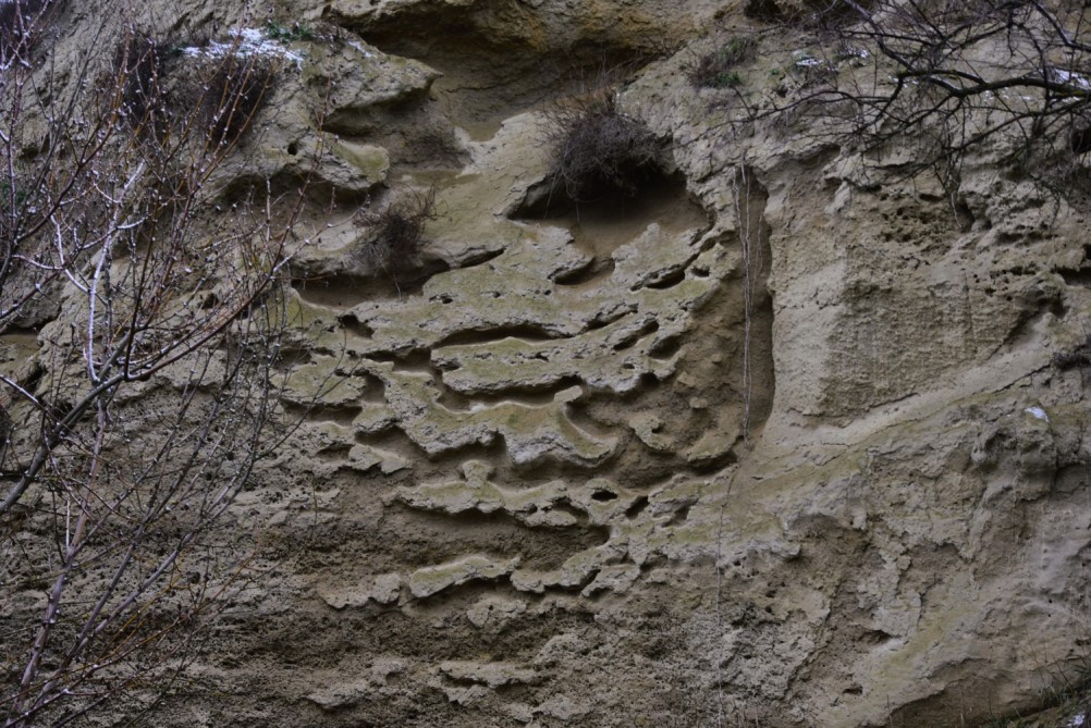 Песчаные розы на обрыве у Миуса