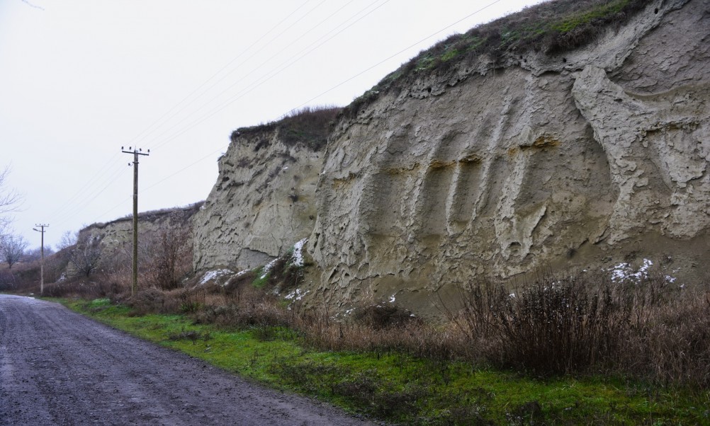 Песчаные розы на обрыве у Миуса