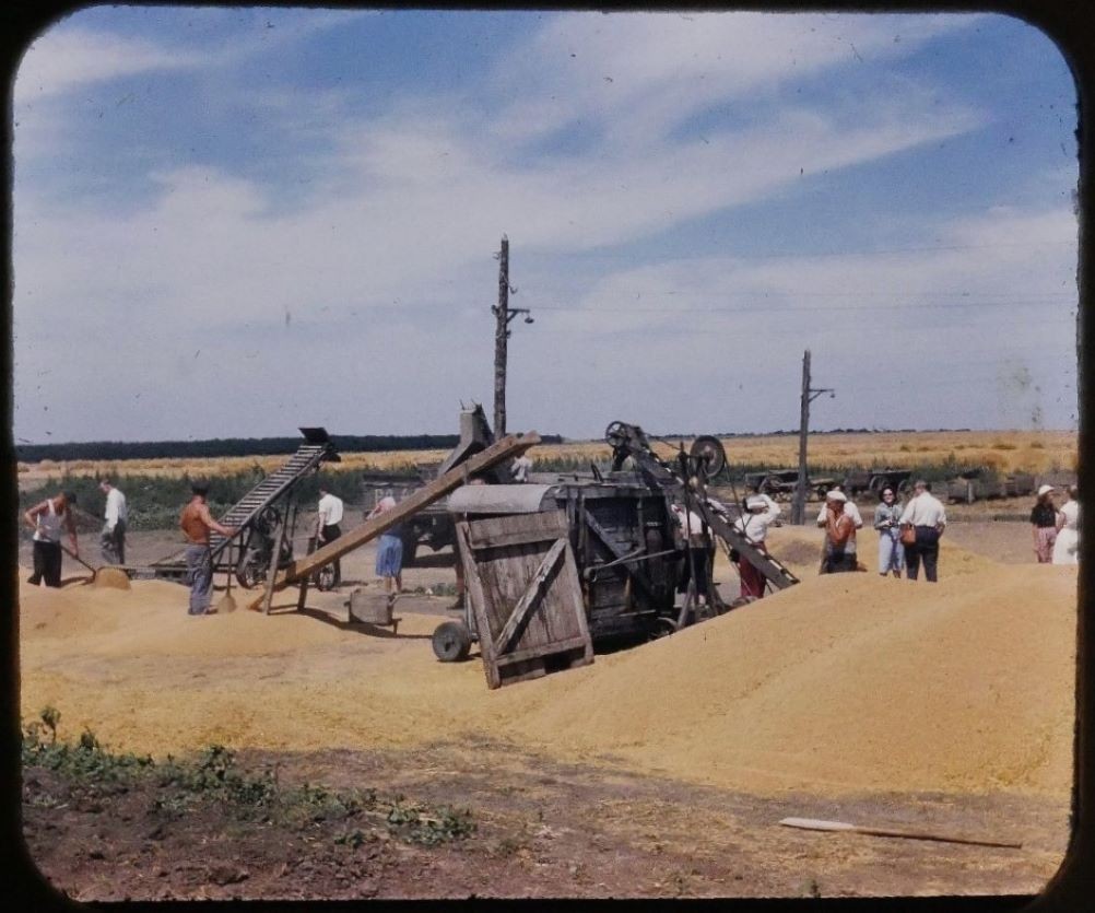 Стационарная молотилка в ростовском колхозе в 1958 г. 
