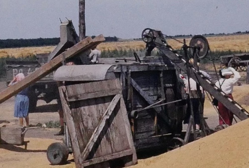 Стационарная молотилка в ростовском колхозе в 1958 г. 