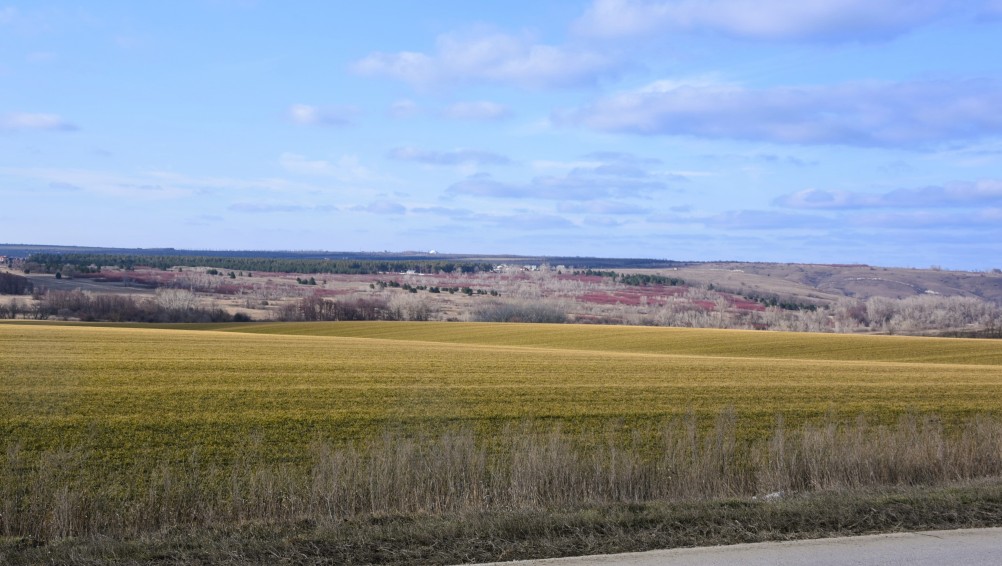 Ранняя весна в междуречье Калитвы и Быстрой