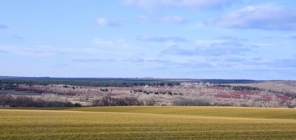 Ранняя весна в междуречье Калитвы и Быстрой