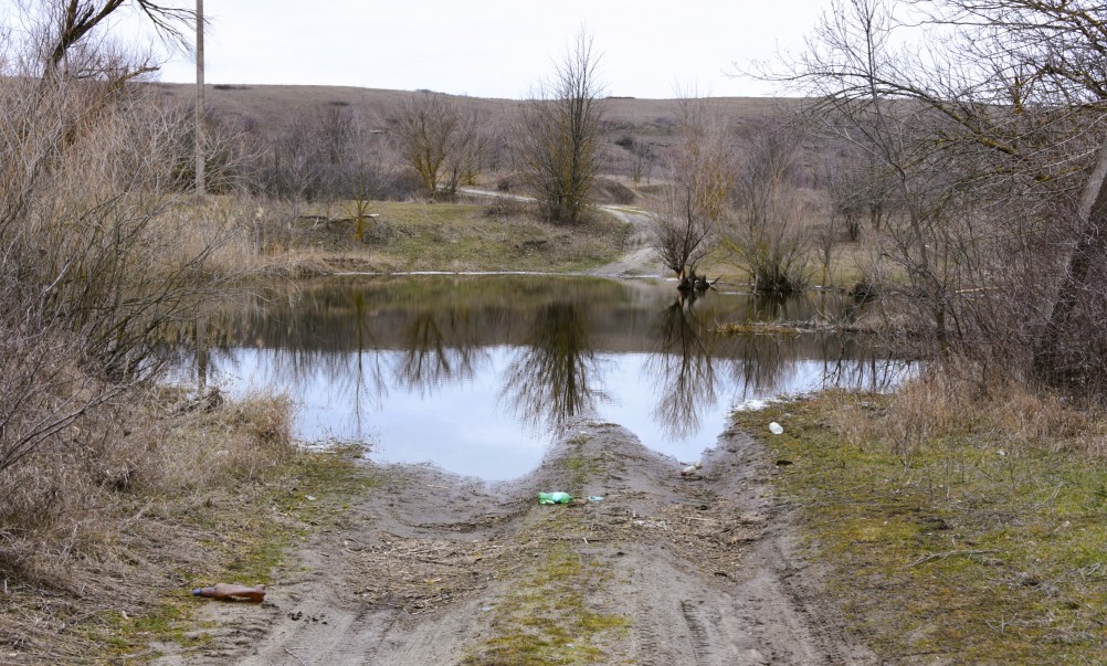 Ранняя весна в междуречье Калитвы и Быстрой