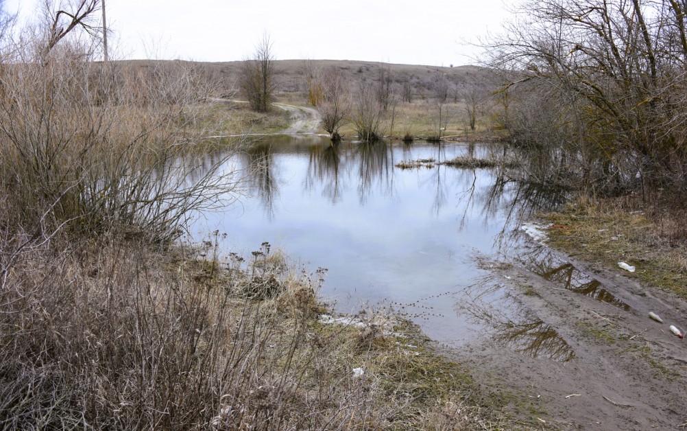 Ранняя весна в междуречье Калитвы и Быстрой
