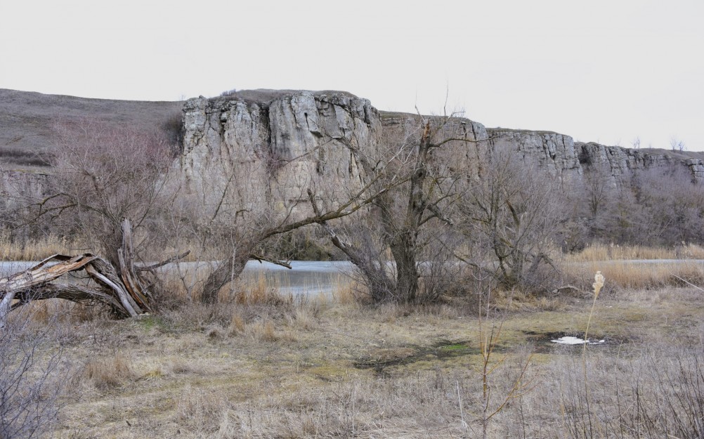 Ранняя весна в междуречье Калитвы и Быстрой