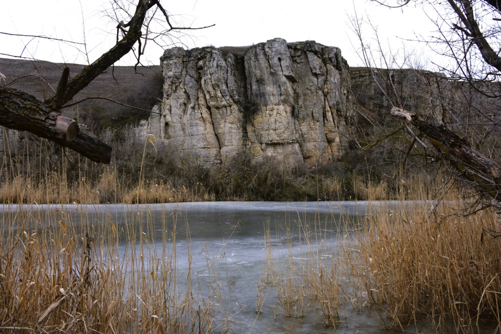 Ранняя весна в междуречье Калитвы и Быстрой