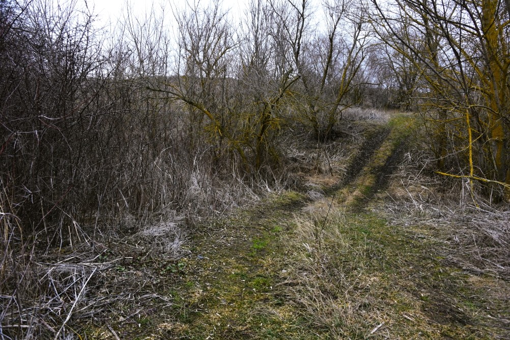 Гребля у скалы на реке Быстрой