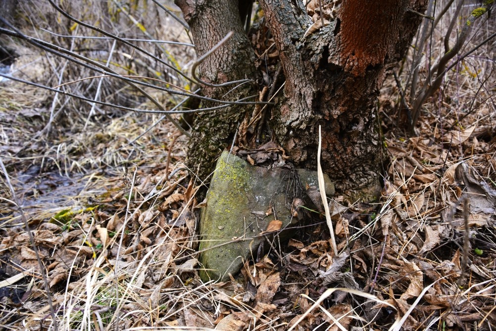 Гребля у скалы на реке Быстрой
