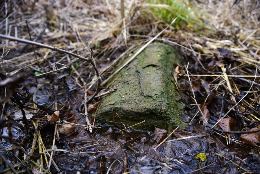 Гребля у скалы на реке Быстрой