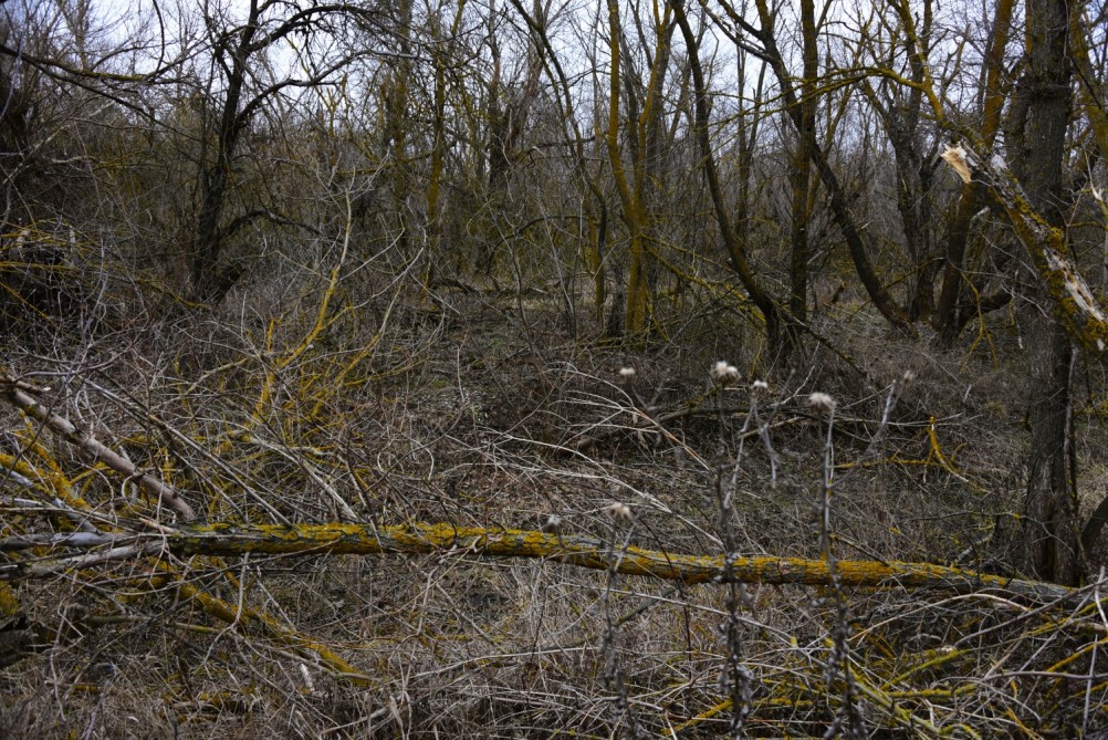 Гребля у скалы на реке Быстрой