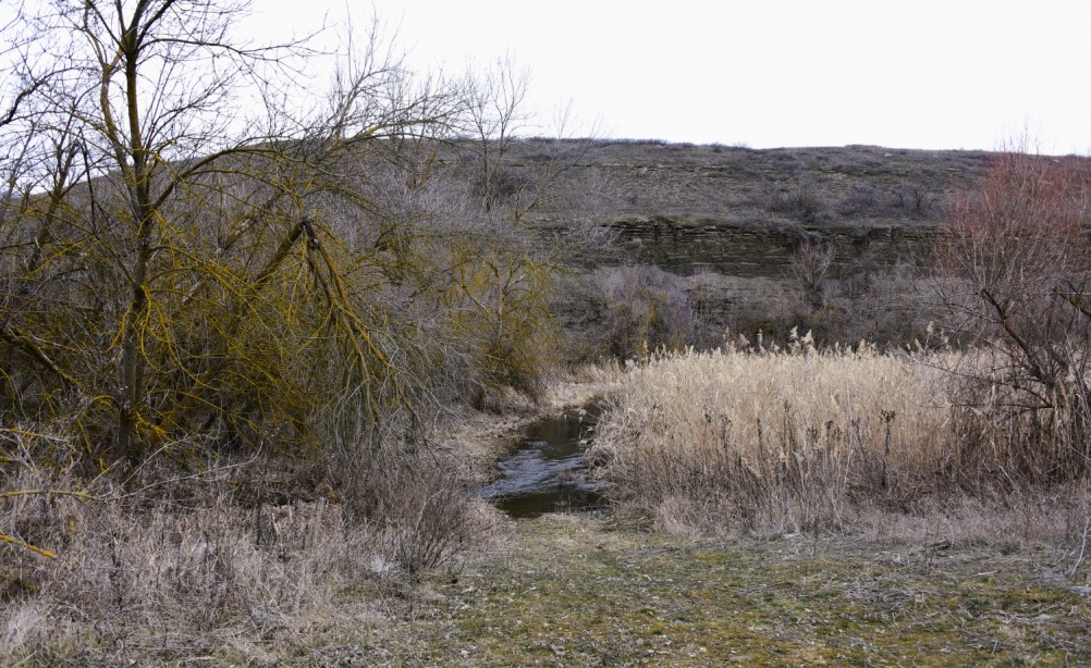 Гребля у скалы на реке Быстрой