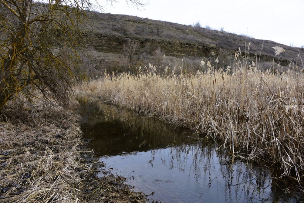 Гребля у скалы на реке Быстрой