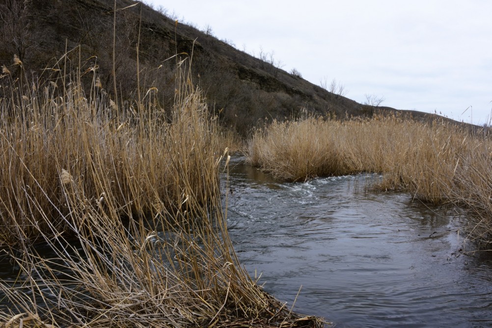 Гребля у скалы на реке Быстрой