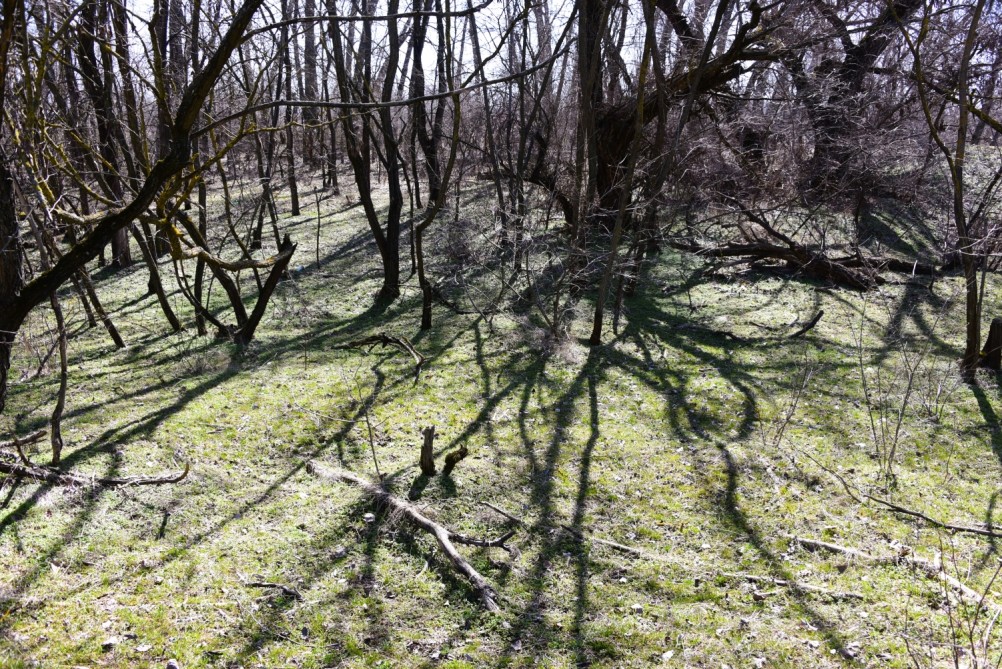 Бетонный корабль в реке Аксай