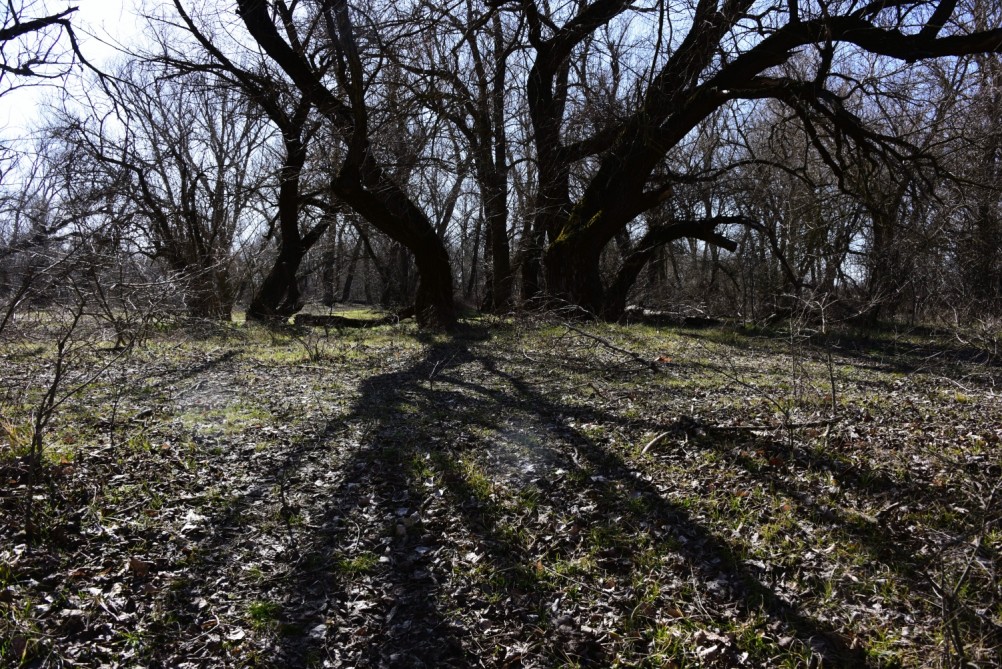 Бетонный корабль в реке Аксай