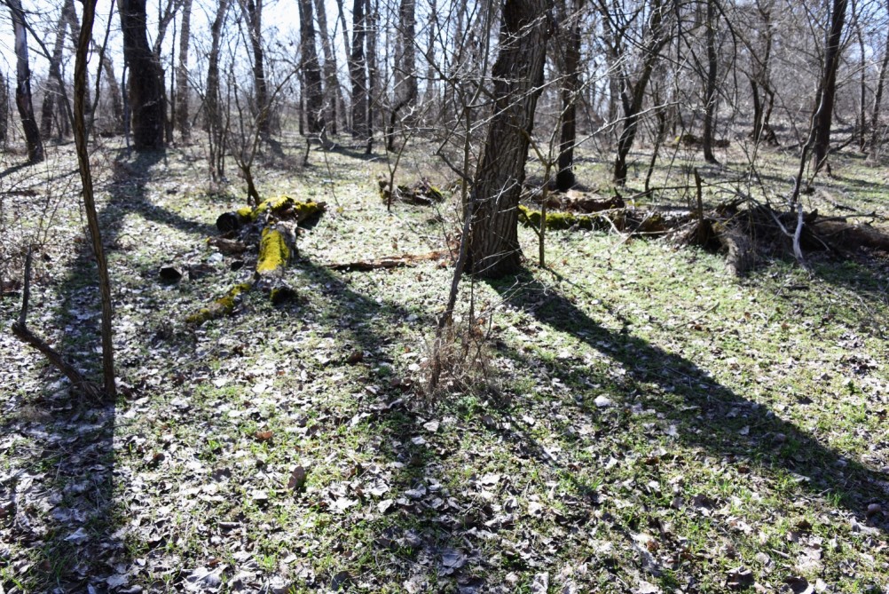 Бетонный корабль в реке Аксай