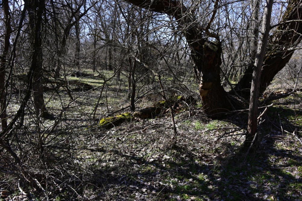 Бетонный корабль в реке Аксай
