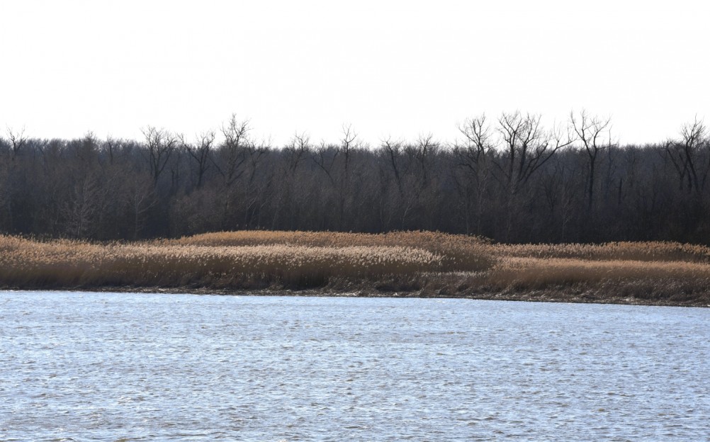 На Стрелке в марте