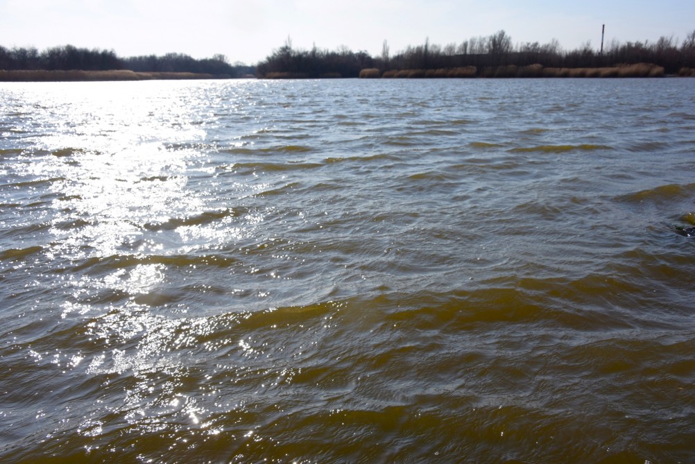 На Стрелке в марте