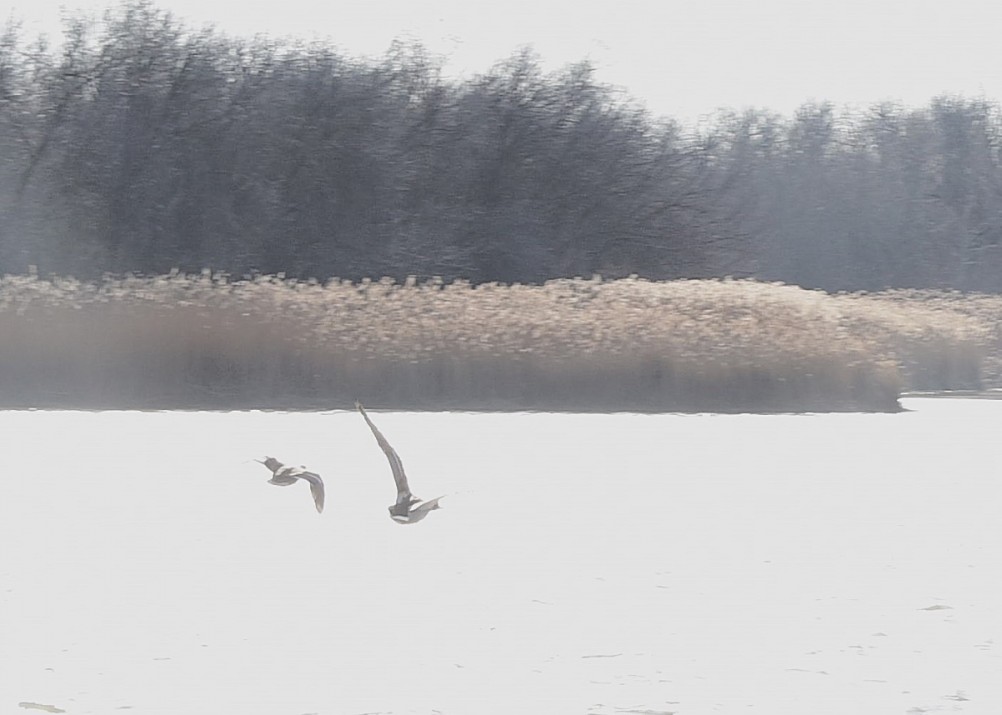 На Стрелке в марте
