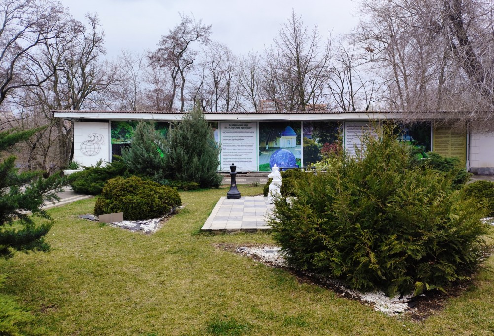 Шахматы, Ростов-на-Дону