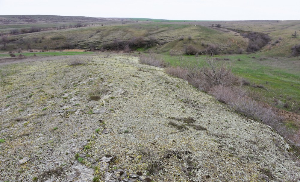 Цветущая весенняя степь на реке Кундрючьей