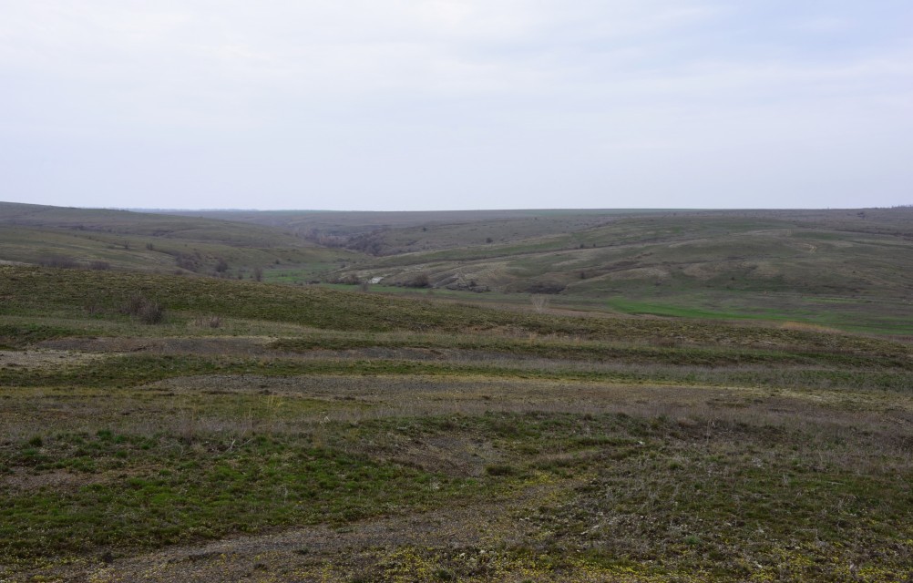 Цветущая весенняя степь на реке Кундрючьей