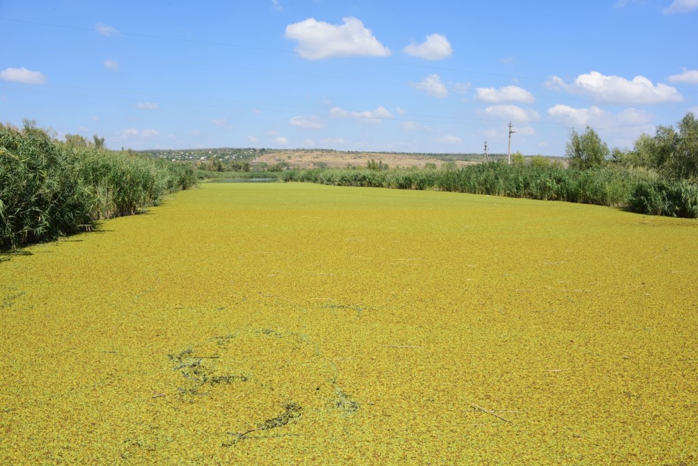История Аксайско-Донского займища