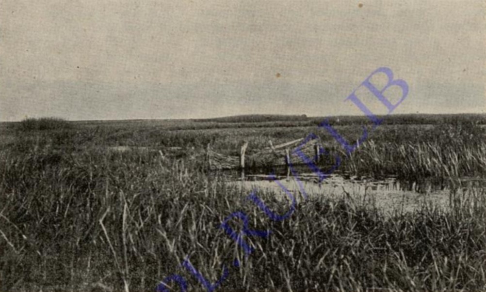 История Аксайско-Донского займища