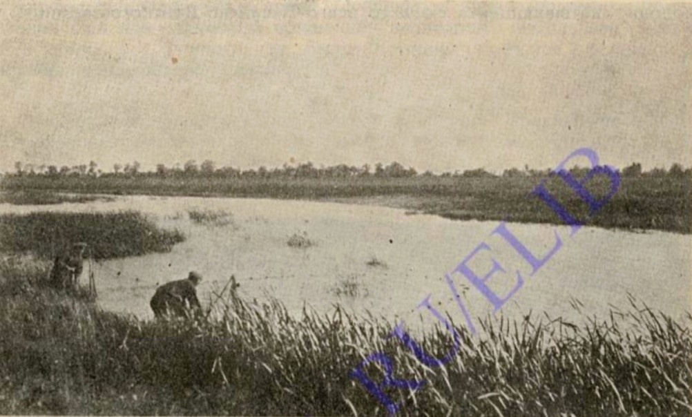 История Аксайско-Донского займища